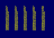 Acu Pascal2.png